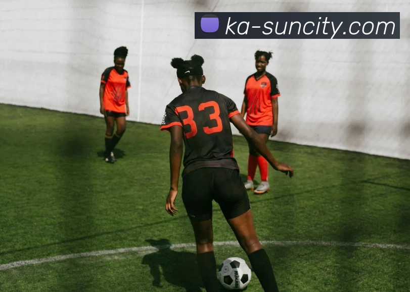 多媒体互动体验